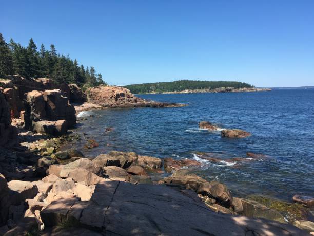 istock Acadia National park 1263642127