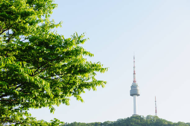 Namsan Tower, a popular tourist attraction in Seoul, is between red and green leaves. Seoul, South Korea.