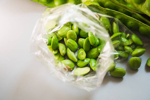 istock Closeup fresh Sato, Thai bitter bean 1263642588