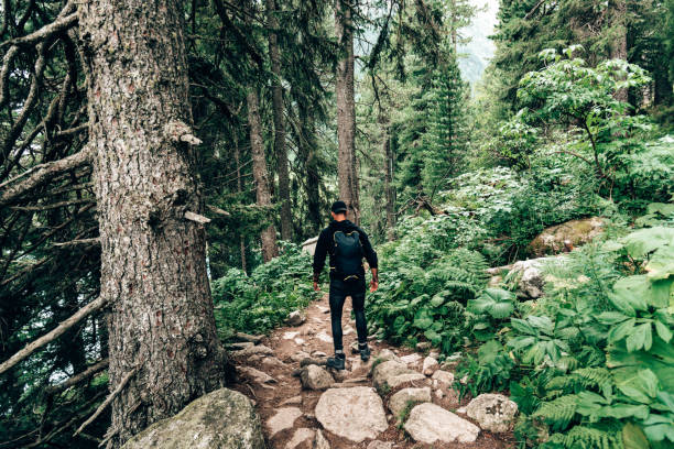 istock man hiking in the forest 1263645428