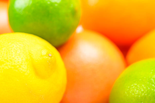 Colorful Citrus fresh fruits including grapefruit, lime, lemon and orange studio shot