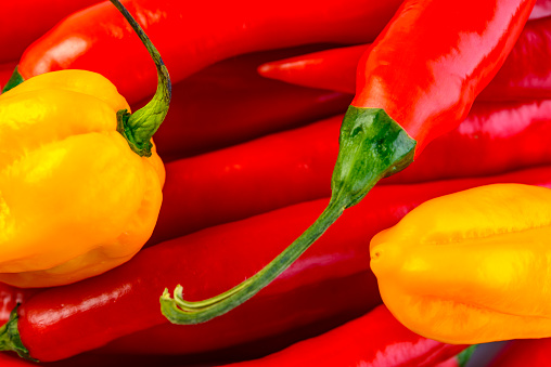 A view of a variety of chili peppers.