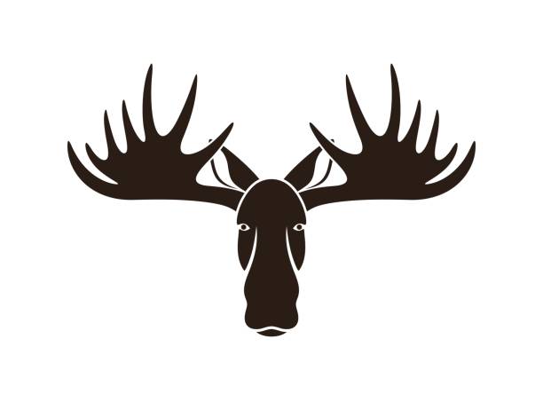 ムースヘッドロゴ。白い背景に孤立したムースヘッド。エルク - moose head点のイラスト素材／クリップアート素材／マンガ素材／アイコン素材