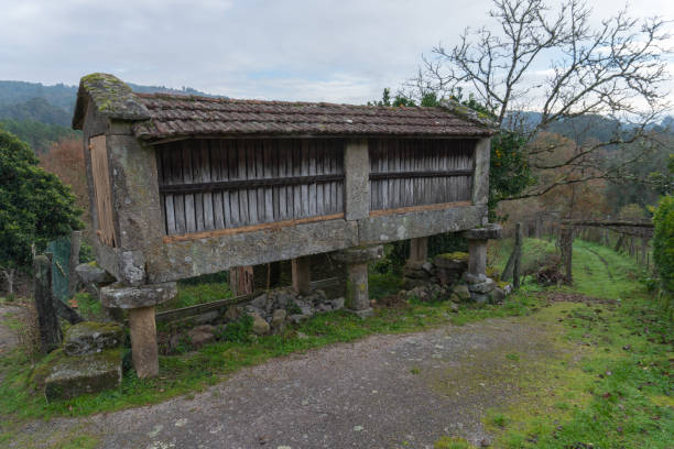 istock Typical Galician granary 