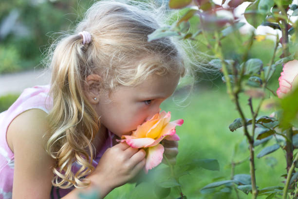 istock Little girl sniffs a flower. 1263651635