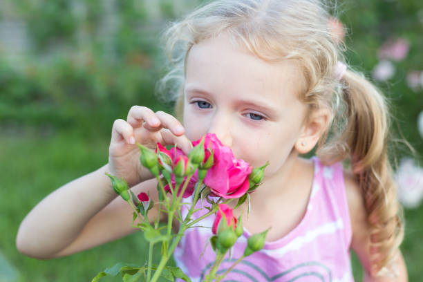 istock Little girl sniffs a flower. 1263651639