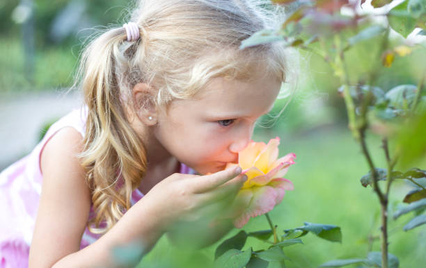 istock Little girl sniffs a flower. 1263651648