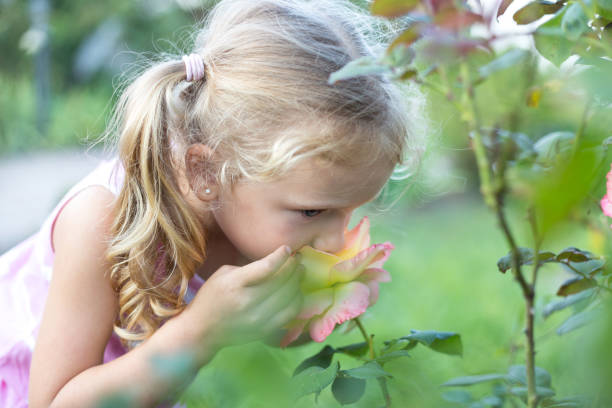 istock Little girl sniffs a flower. 1263651666