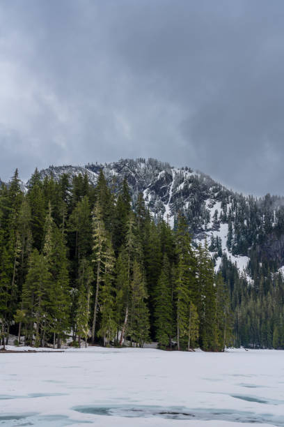 istock Lake George, Mount Rainier National Park 1263652002