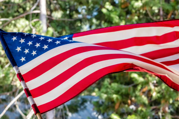 istock United States flag 1263653537