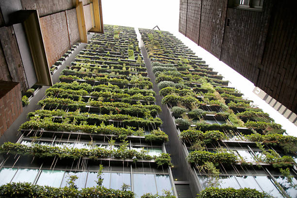 Green Building Sydney, Australia Vertical garden on a a high-rise building in Sydney, Australia green building photos stock pictures, royalty-free photos & images