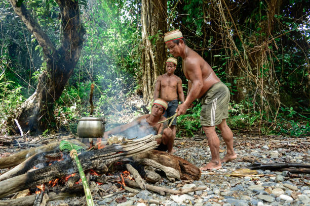 cozinhando dentro da selva - dayak - fotografias e filmes do acervo