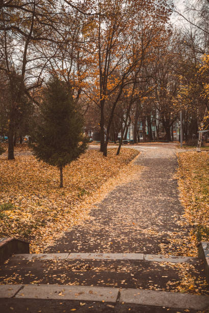 istock Autumn city park 1263655442
