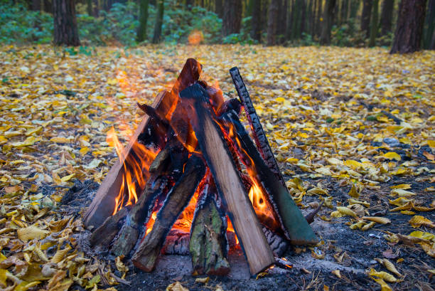 Bonfire in the autumn forest