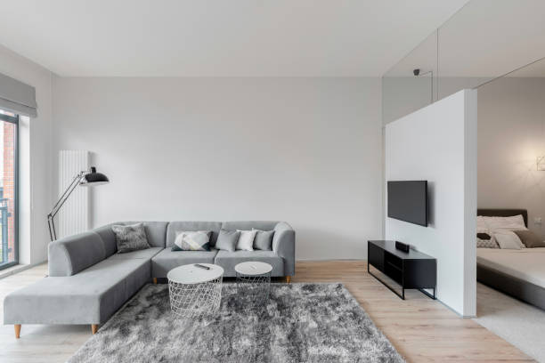 istock Spacious white and gray living room 1263658324