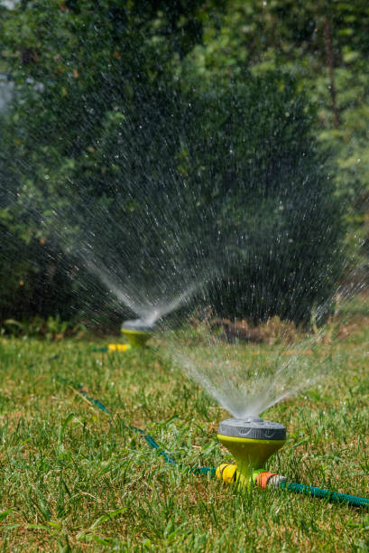 istock Spraying water on green lawn 1263658679