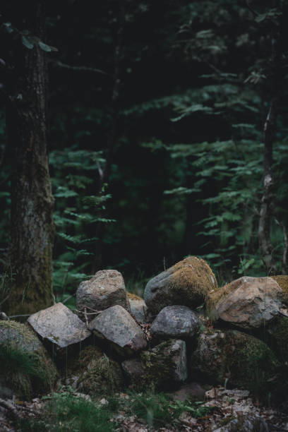 Boulders blocking the path in to a dark forest, works well as background. Dark tones, matching the mystique of the forest in the background.