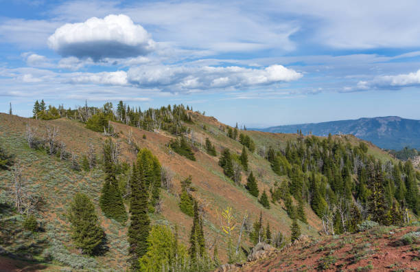 istock Hiking Along The Burnt Mountain Trail, Cascade Mountains, Washington State 1263664754