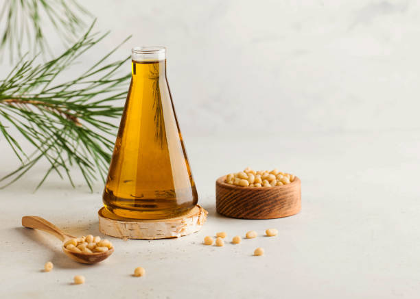 pflanzliches zedernöl, pinienkerne, ein zweig eines nadelbaumes. das konzept der gesunden ernährung. kopieren sie den speicherplatz. - pine nut nut seed vegan food stock-fotos und bilder