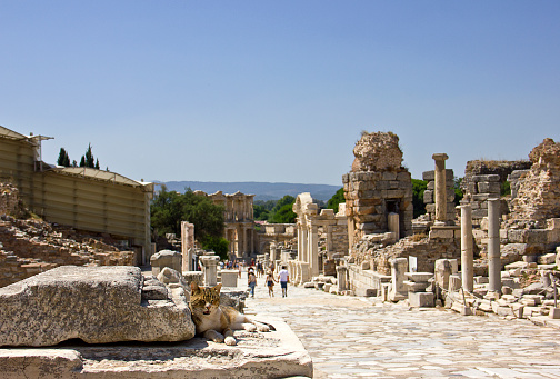 Turkey with old Greek ruin, Ephesus Turkey
