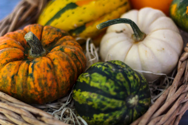 istock Close up of pumpkins on wicker basket 1263675193
