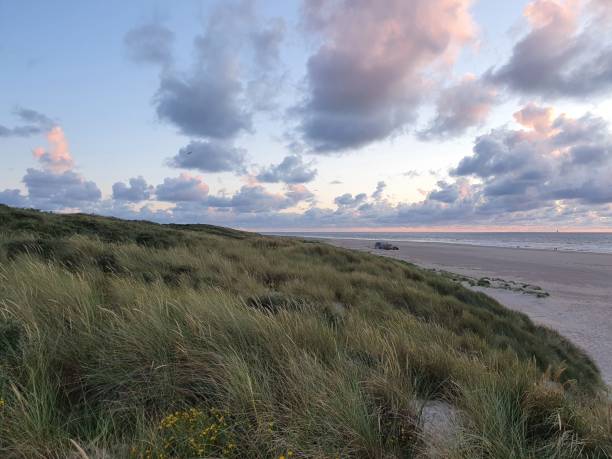 istock Dunes and empty beach of Vlieland in the netherlands 1263677186