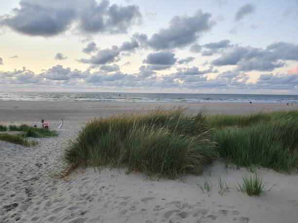 istock Dunes and empty beach of Vlieland in the netherlands 1263677187