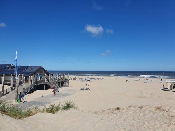 istock Beach of Wadden Island Vlieland 1263677225