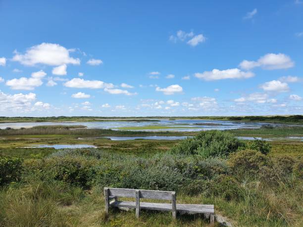istock Nature on Wadden Island Vlieland 1263677228