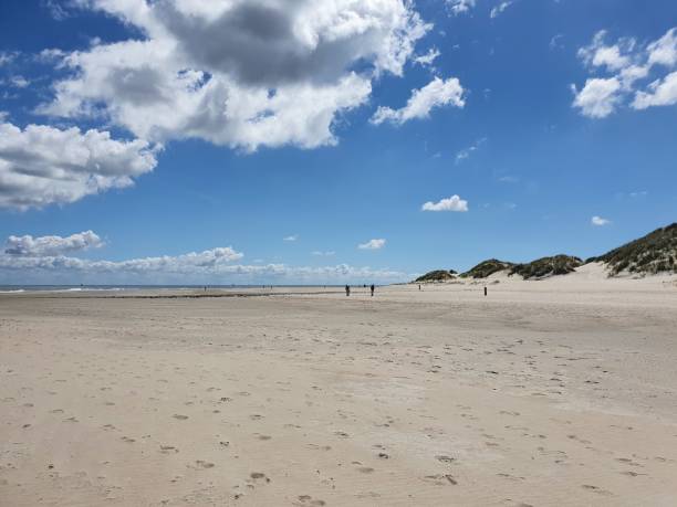istock Beach of Wadden Island Vlieland 1263677253