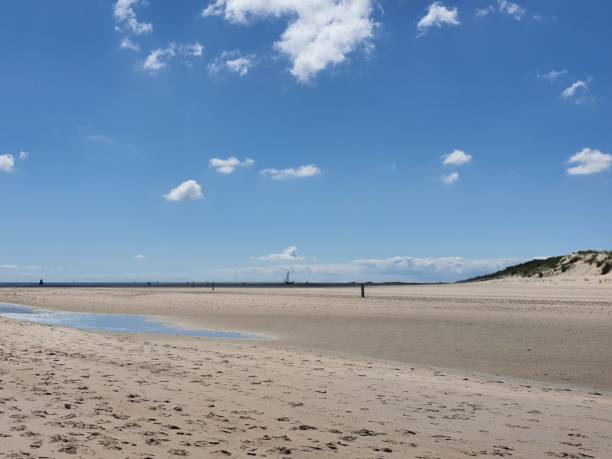 istock Beach of Wadden Island Vlieland 1263677297