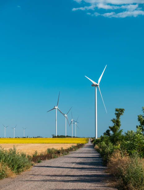 istock Wind farm at sunny day in the summer 1263678489