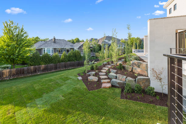 istock Rear deck view of newly landscaped yard 1263681974