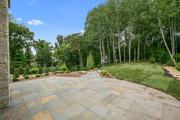istock Beautiful open patio behind new home 1263682827