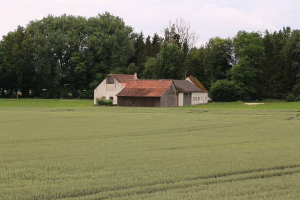 istock Farm on the Donaradweg in Bavaria 1263687733