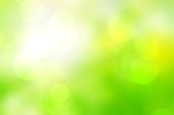 istock Green bokeh background blur,holiday light wallpaper 1263687783