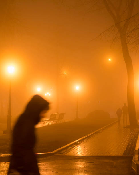 istock People park fog dark evening 1263691590