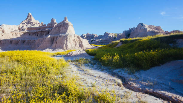 istock Window Trail at Badlands National Park 1263692935