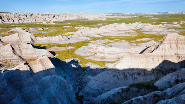 istock Badlands National Park in Bloom (Yellow Sweet Clover) 1263692992