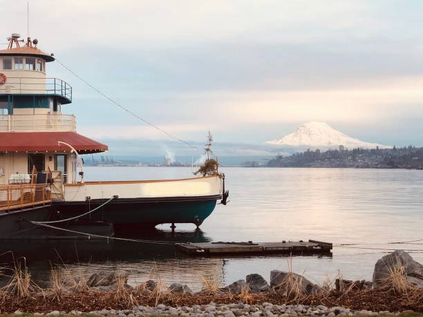 istock Mount Ranier on the Sound 1263694904
