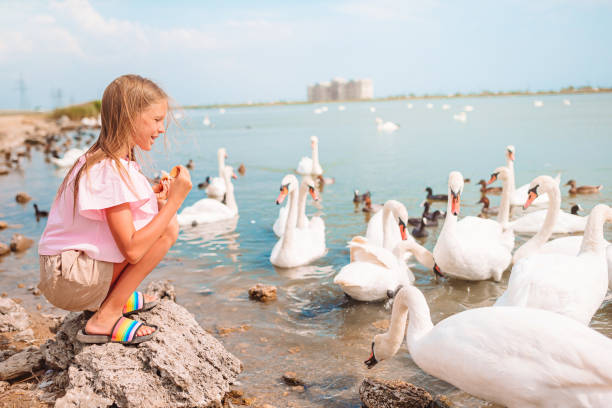Cute teenage girl in blue panama hat standing on the shore of the lake with swans. Walks with children in the park, hiking and traveling.