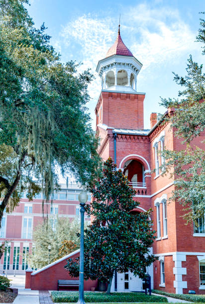 istock Osceola County Historic Courthouse c.1889 and the modern replacement in the background.  Both are still used as courthouses. 1263697121