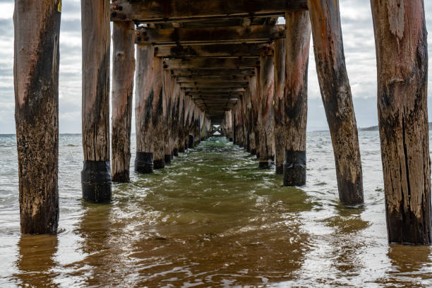 istock Trestle at Point Lonsdale Jetty,  Victoria, Australia 1263698538