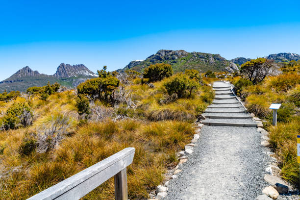 cradle mountain, tasmania, australia - launceston imagens e fotografias de stock