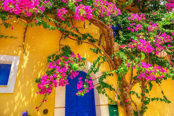 istock Old wooden door 1263699759