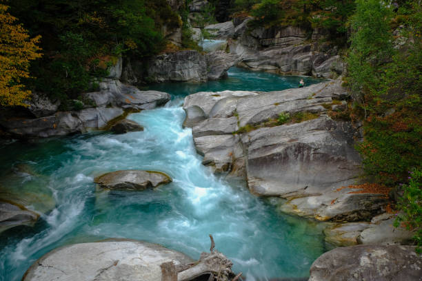 istock Beauty in nature 1263699874