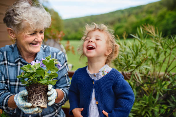 avó mais velha com neta pequena jardinagem na varanda no verão, rindo. - grandmother and grandaughter - fotografias e filmes do acervo