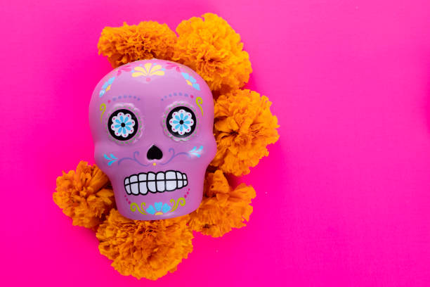 istock Composition with typical Mexican skull and cempazuchitl flowers on bright pink background. 1263700801