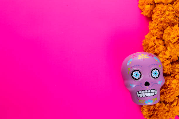 istock Composition with typical Mexican skull and cempazuchitl flowers on bright pink background. 1263701073