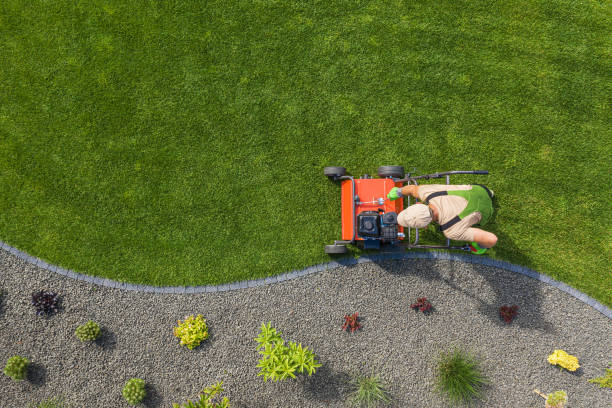 istock Lawn Aerator Job For Controlling Lawn Thatch and Soil Compaction 1263707036